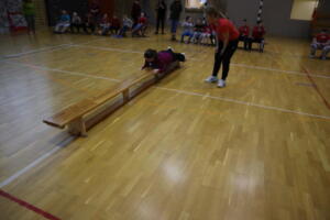 IMG 1471